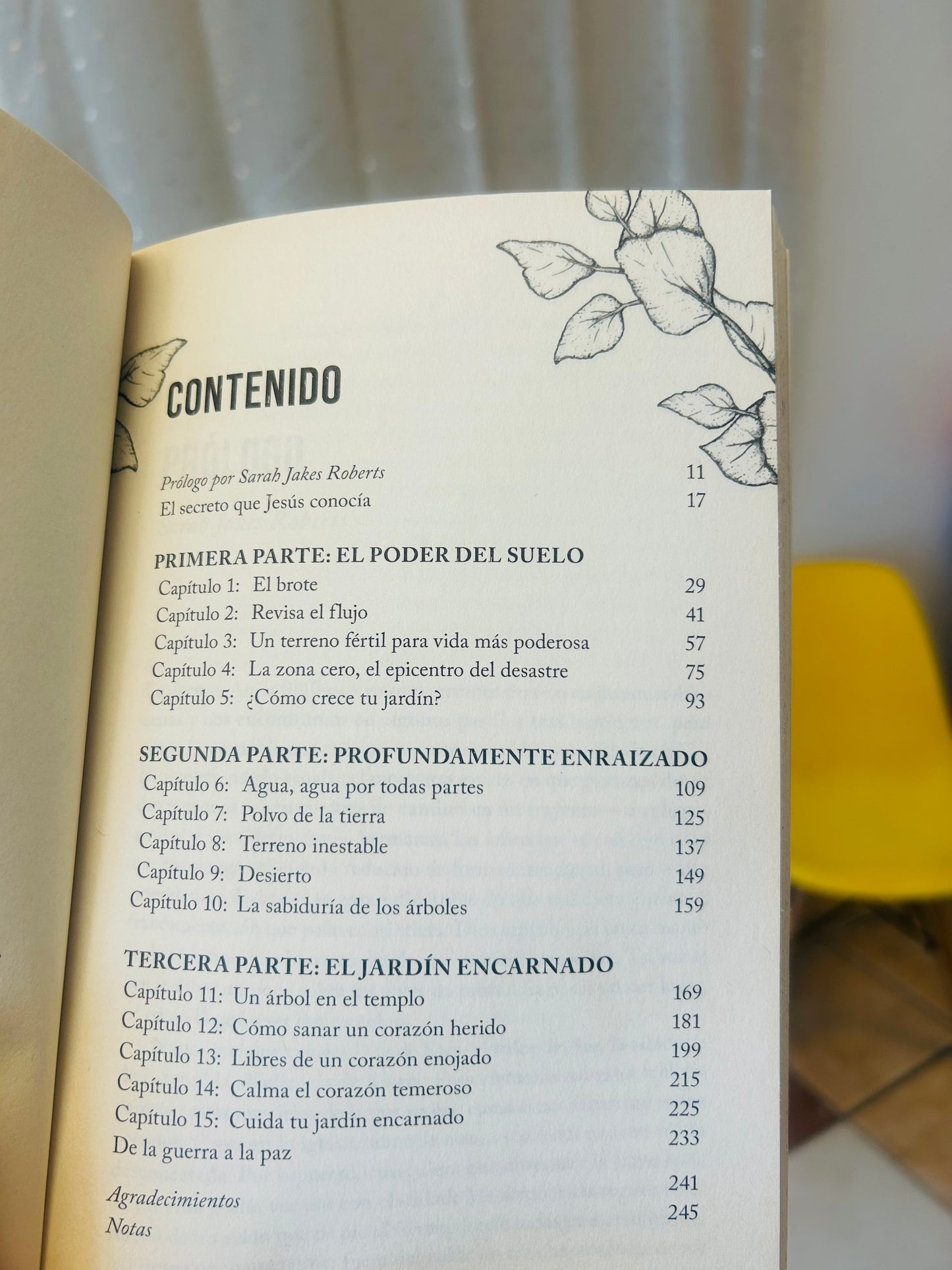 Mi Jardín Interior Dra. Anita Phillips