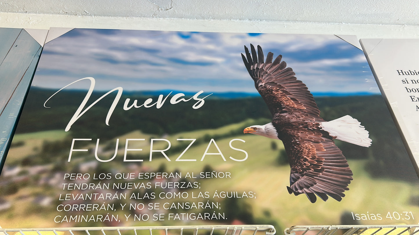Cuadros de Canvas 60" x 90"