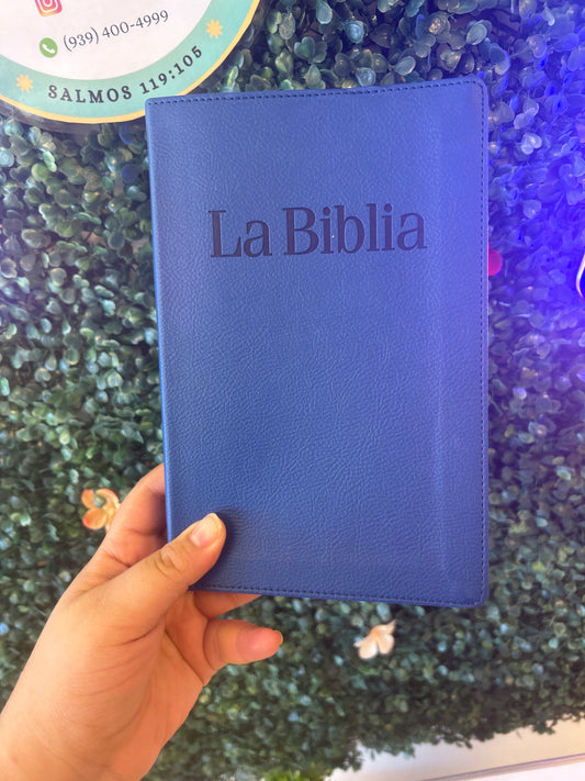 La Biblia PDT