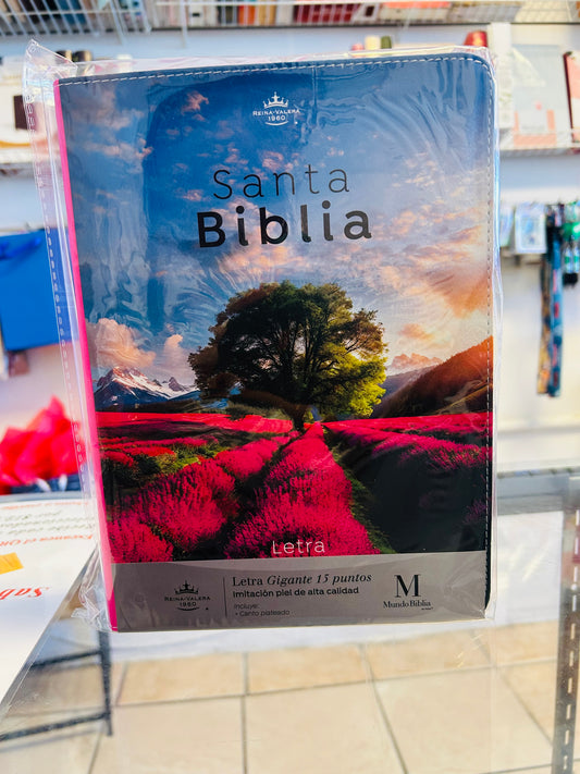 Biblia Letra Gigante 15 puntos  Árbol