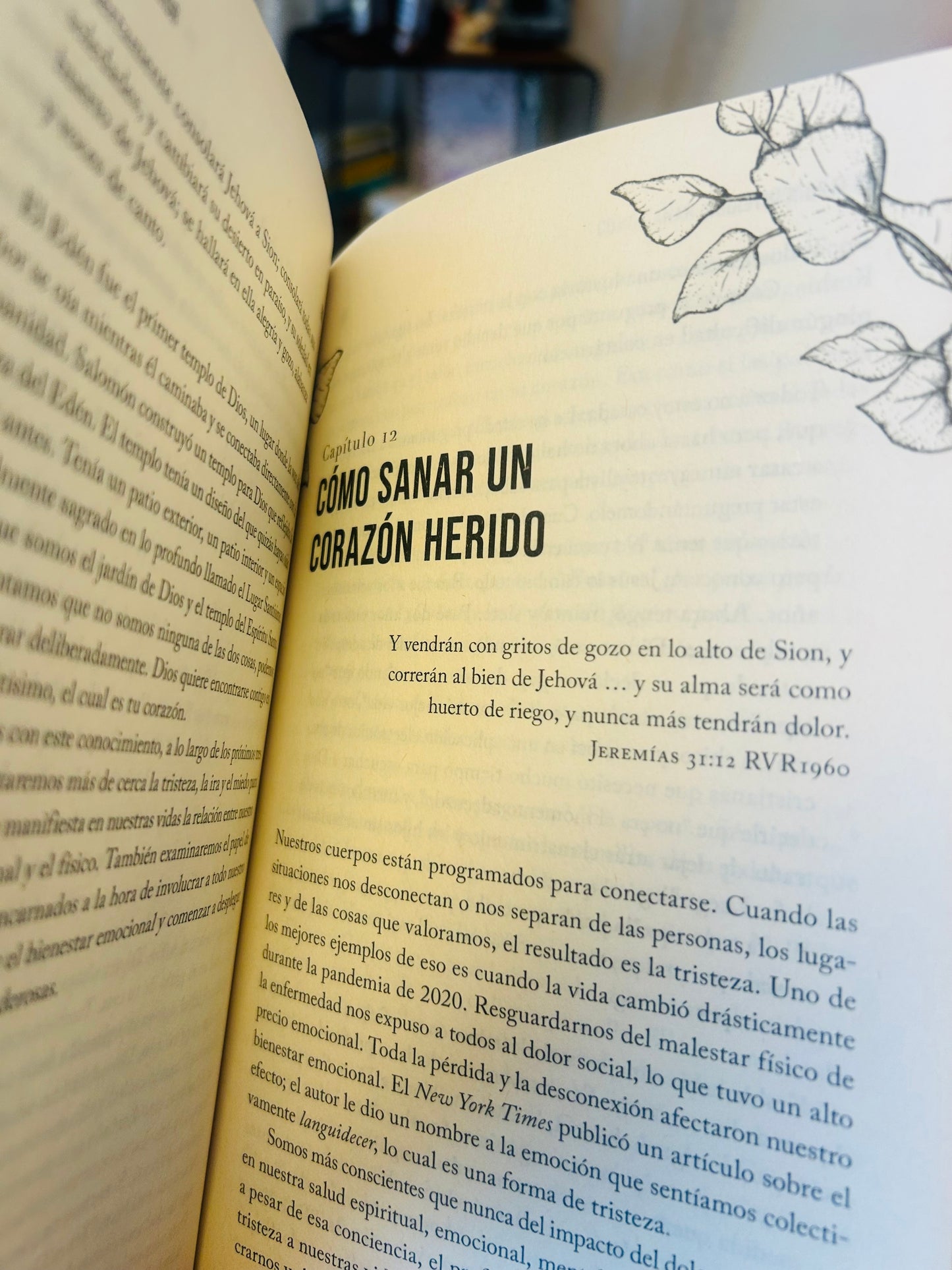 Mi Jardín Interior Dra. Anita Phillips